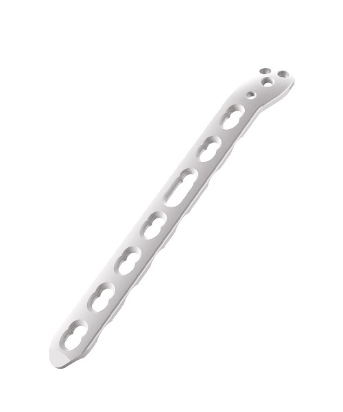 WhatsApp Image 2024-01-09 at 11.13.45 AM (1)