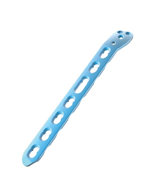 WhatsApp Image 2024-01-09 at 11.13.45 AM