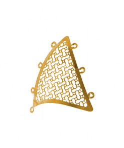 Mastoid Mesh